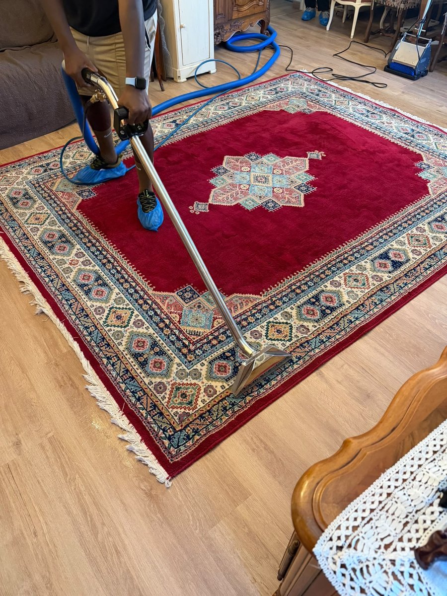 Suceur d'injection-extraction posé sur un tapis persan rouge, parquet autour