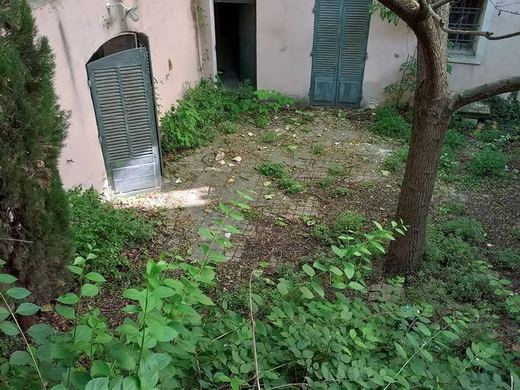 Cour intérieure d'immeuble ancien envahie par la végétation avant intervention