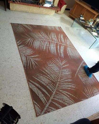 Tapis terracotta à motif de palmes, couleurs ternies, buse de nettoyage posée à côté